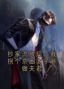 江颂宜盛徐行抄家流放后，我拐个京圈太子爷做夫君小说阅读 江颂宜盛徐行文