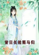 《陆翊璟墨琉璃》全文阅读 昔日长枪落马归小说章节目录