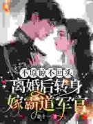 不原谅不回头！离婚后转身嫁霸道军官林稚江聿野小说免费试读全文章节目录精