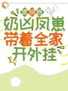 《苦宝姜丰年》小说大结局免费阅读 流放后，奶凶凤崽带着全家开外挂小说全