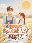 主角是八零小知青：嫁隐藏大佬爽翻天的小说 《林婉谢蘅》 全文免费试读