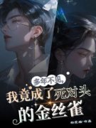 《时愿沈言》小说全文精彩试读 多年不见，我竟成了死对头的金丝雀小说阅读
