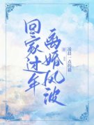 《回家过年离婚风波》小说免费阅