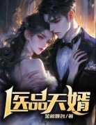 《秦天梦琪》小说章节精彩阅读 医品天婿小说全文