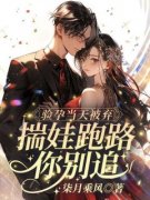 《林舒唐亦琛》小说大结局免费阅读 验孕当天被弃？揣娃跑路你别追！小说全