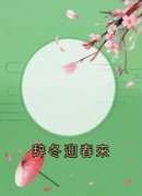 《乔鸢陆则崇》辞冬迎春来小说精彩内容免费试读