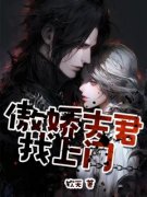 《傲娇夫君找上门》小说完结版在