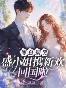 【都市爽文】傅总别哭，盛小姐携新欢回国啦盛相思傅寒江未删减版全集免费试