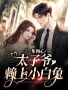 《唐筱宁宋璟》大结局在线阅读 《唐筱宁宋璟》最新章节列表