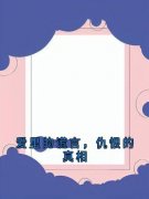 爱里的谎言，仇恨的真相顾轻舟周晚晴全部章节目录