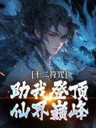 《苏青山白微云》小说章节目录在