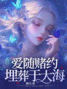 《爱随赌约埋葬于大海》完结版在线阅读 《爱随赌约埋葬于大海》最新章节目