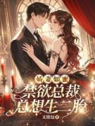 《娇妻如蜜，禁欲总裁总想生二胎》免费阅读 江好好宋泽在线阅读