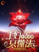 主妇不懂道德只懂法主妇不懂道德只懂法小说 苏婉张沉在线阅读