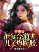 沈寒星傅景珩by离婚后拒复合：前夫儿子悔断肠精彩章节 离婚后拒复合：前夫儿