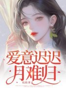《谢灼月沈亦淮》小说章节列表免费阅读 爱意迟迟月难归小说阅读