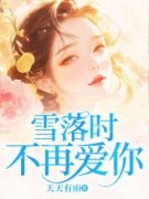 《雪落时不再爱你》小说全集免费