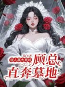 小说别人都火葬场，顾总直奔墓地顾芊芊顾渊周妍菲章节免费免费试读地址