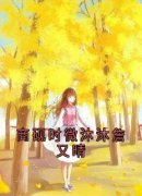 《商砚时微沐沐詹又晴》(时微商砚)小说阅读by听风