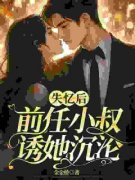 《黎岁霍砚舟》小说全文精彩阅读 岁岁前任黎岁小说全文