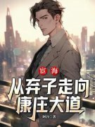 主角是秦林田小甜的小说 《宦海：