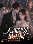 江云宁裴司湛人间随处是南柯小说