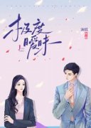 安熙傅时砚书名叫什么_极度暧昧