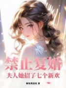 《禁止复婚！夫人她招了七个新欢