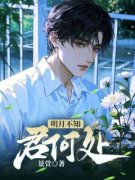 明月不知君何处小说 《苏北城林缘逸》小说全文免费阅读