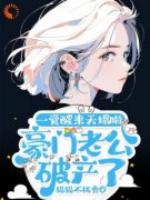 阮宁夏傅凛成完整版全文阅读 豪门：夫人她表示卷自己不如卷老公 大结局