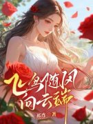 《沈竹鸢贺淮旭》小说主角飞鸟随风向云端全文章节免费免费试读