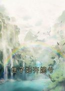 《世子妃齐婉兮》小说全文免费阅读 《世子妃齐婉兮》最新章节列表