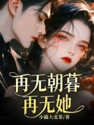《再无朝暮再无她》大结局在线试读 《再无朝暮再无她》最新章节目录