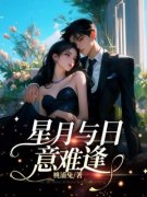 《星月与日意难逢》全文免费章节在线试读 叶知夏裴知安小说