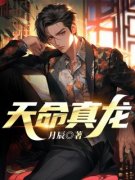 《姜晨叶清婵》小说全文精彩阅读 《姜晨叶清婵》最新章节列表
