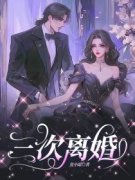 三次离婚主角苏暖许暮舟全文章节免费试读