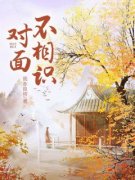 《莫离梁云帆》对面不相识小说全