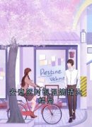 《安意贺时砚》安意贺时砚温婉晴