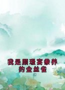 《我是顾璟宴豢养的金丝雀》秦丝