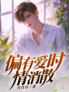 《偏有爱时情消散》小说章节在线