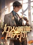 《灯火阑珊再无你》小说全文在线阅读 许辰苏韵小说全文