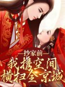 沐倾颜萧逸寒抄家前，我携空间横扫全京城精彩内容在线阅读