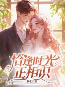 恰逢时光正相识陈美琳林时远结局完整全文