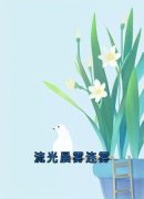 流光晨雾连雾连雾陆西野大结局在
