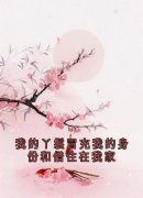 《我的丫鬟冒充我的身份和借住在