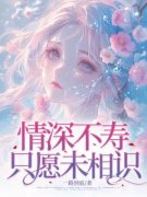 沈妍希斐思远精彩章节小说免费试读地址 主角情深不寿只愿未相识