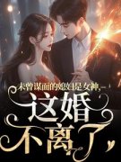 《未曾谋面的媳妇是女神，这婚不离了》小说章节目录免费试读 盛知夏顾衍掣