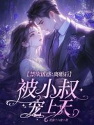 《禁欲诱惑：离婚后被小叔宠上天