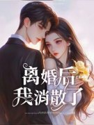 离婚后，我消散了芒果卿卿 离婚后，我消散了在线阅读
