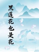 林霜画宋祈然小说精彩章节免费试读（主角黑莲花也是花）
